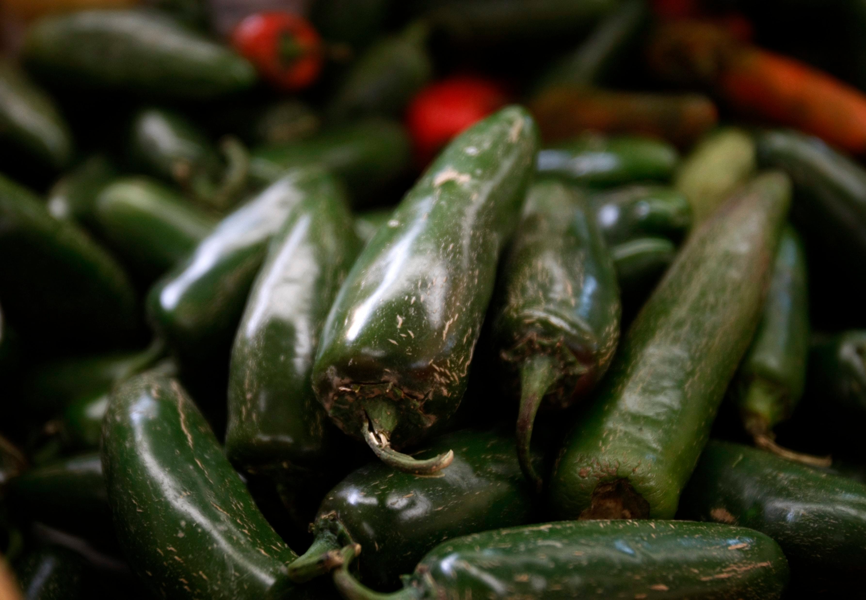 Salmonella outbreak linked to Mexican jalapenos sickens 345 across 27 U.S. states