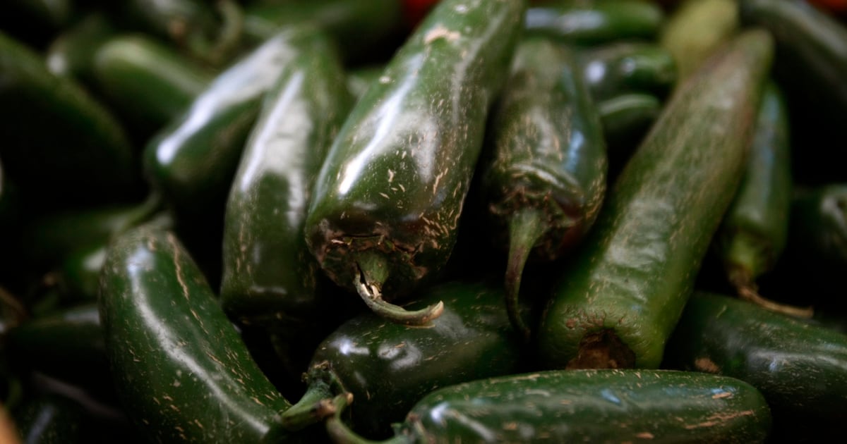 What to know about the multistate Salmonella outbreak in the U.S.