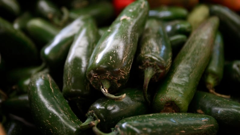 Salmonella outbreak linked to Mexican jalapenos sickens 345 across 27 U.S. states
