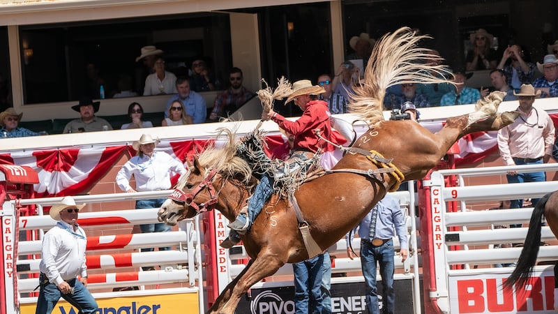 Rodeo action from the final day at the 2026 Calgary Stampede
