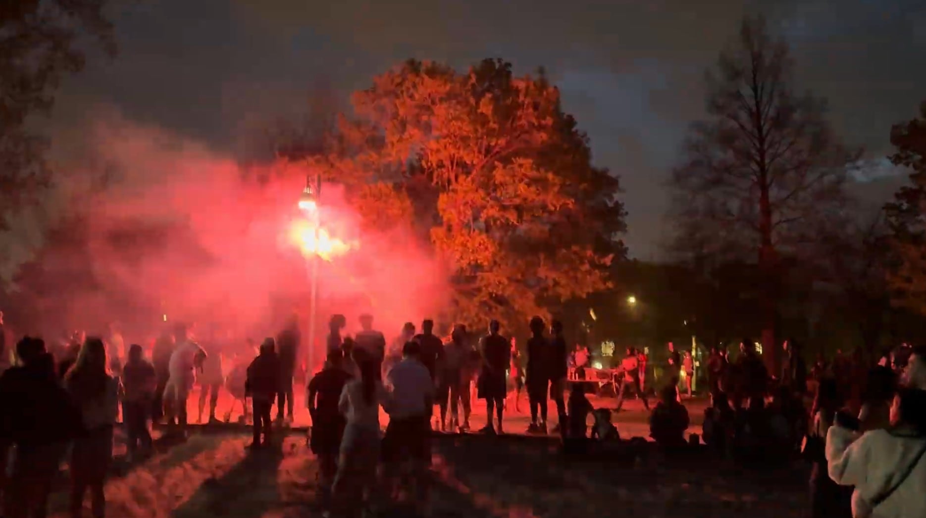 Fireworks display at Toronto’s Ashbridges Bay ends with 5 arrests