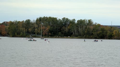 Families went to the Windsor Pumpkin Regatta and Build Your Own Boat Race in Windsor, N.S., on Sunday, Oct. 11, 2026. (Valentine Nkengbeza/CTV Atlantic)