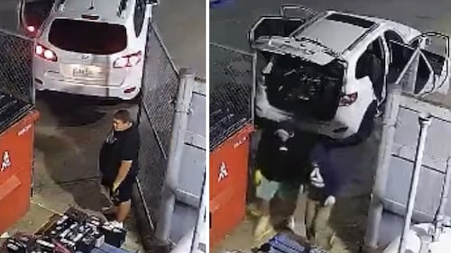 Police seeking tips in Caledonia theft investigation
