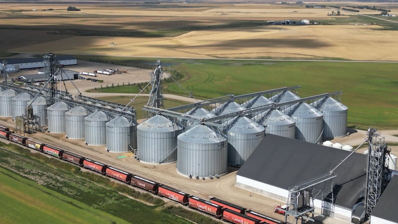 Man suffers leg amputation after getting caught in Lajord grain conveyor