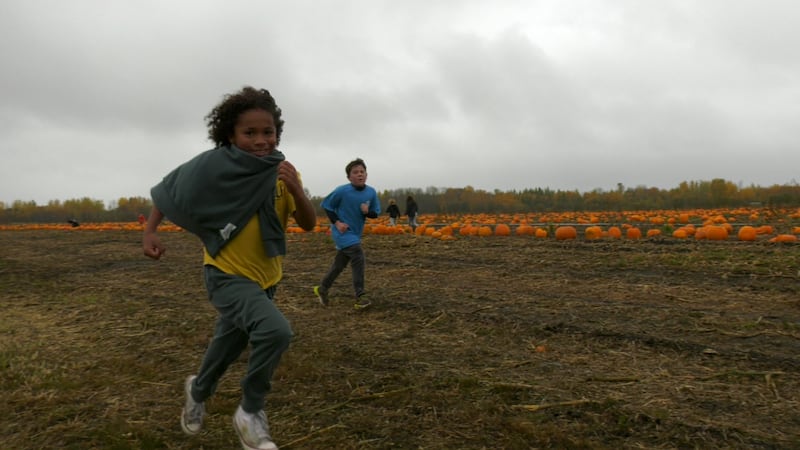 Four school boards hold races at Leisure Farms