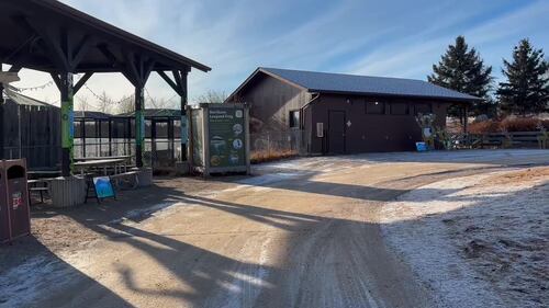 The Edmonton Valley Zoo announced a plan for the next 15 years. Nov. 24, 2025. (Sasha Pietramala/CTV News Edmonton)