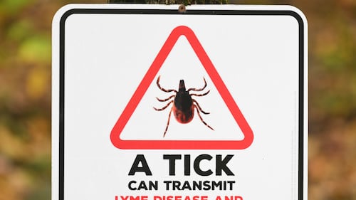 Spike in tick-borne illness causes strain to health-care systems, says doctor