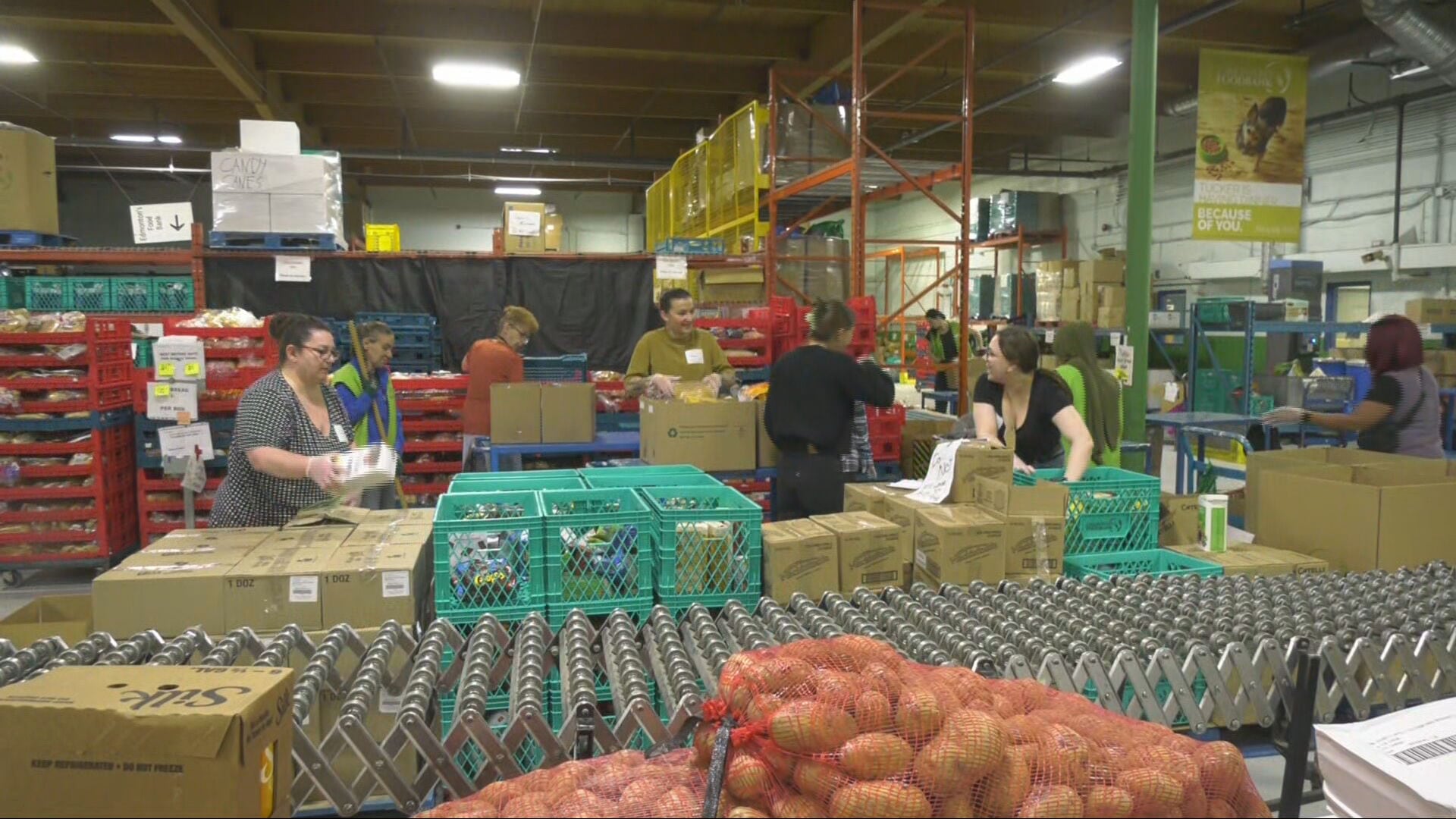 Food donations being sorted and prepared at the Edmonton Food Bank on April 23, 2025. (Cam Wiebe/CTV News Edmonton)