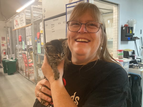 Purrfect Night Charity gala: Not just for cat lovers