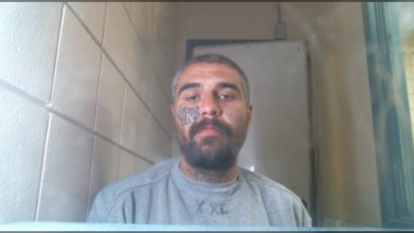 Warman RCMP looking for escaped inmate who stole van