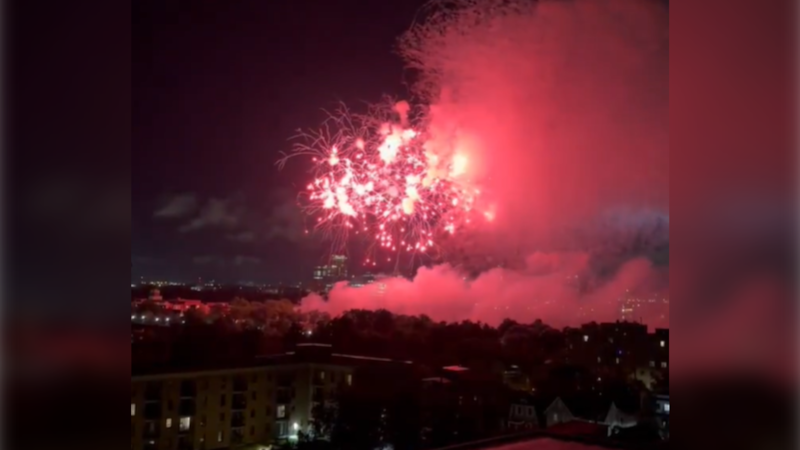 City of Ottawa did not inform public about fireworks display for ‘public safety’ reasons