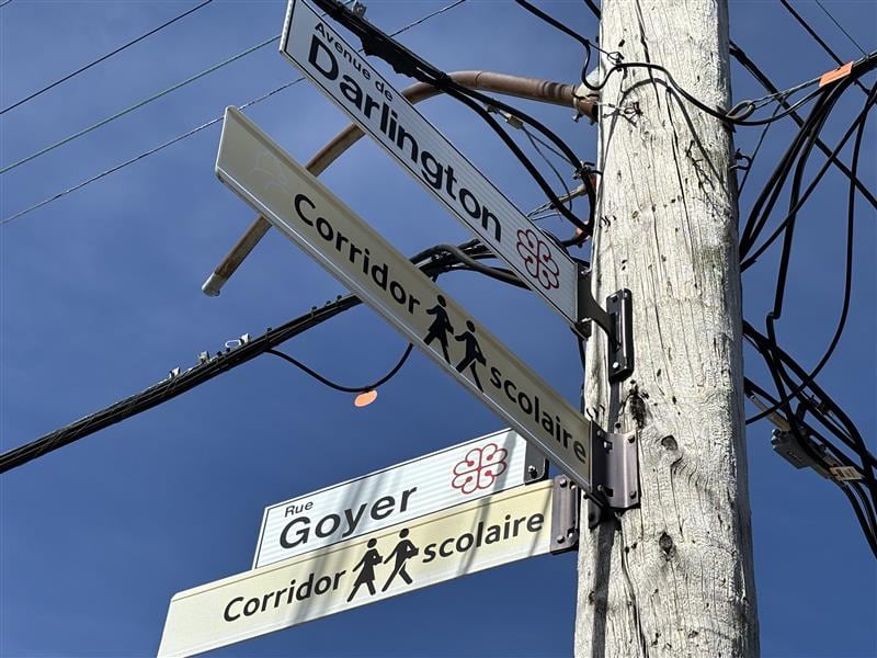 The SPVM is searching for the driver involved in a fatal hit-and-run in Mon