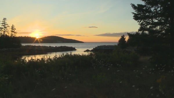 St. Margarets Bay residents voice ideas for densely forested municipal park