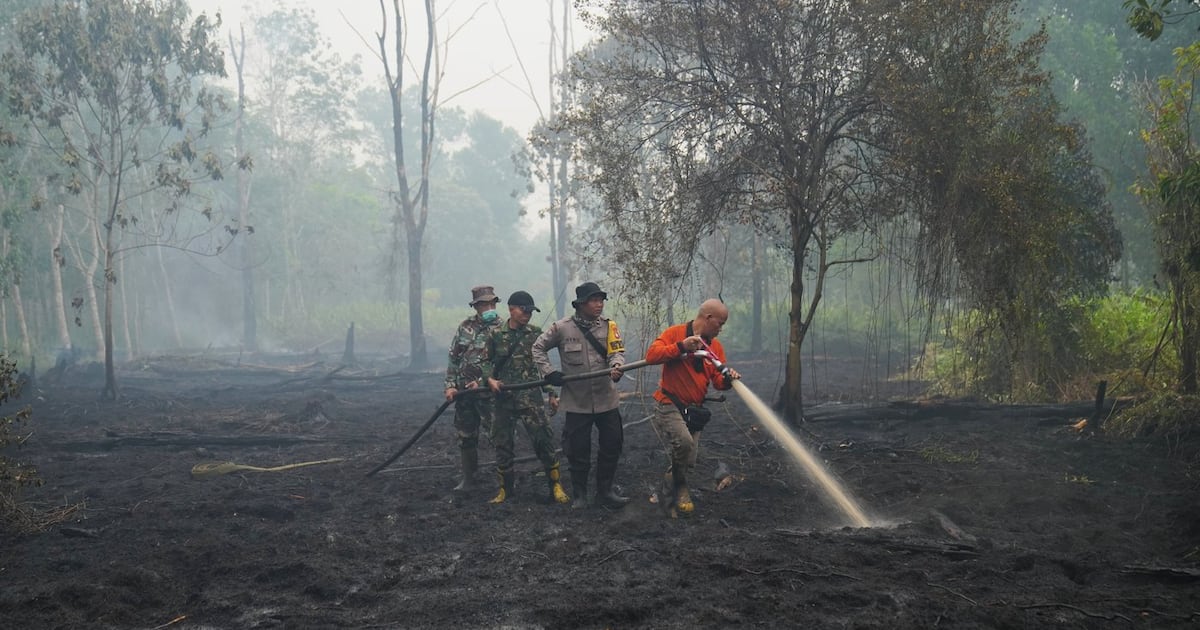 Photo: ctvnews.ca Firefighters spray water to put out wildfires burning through peatland forest in Kubu Raya, West Kalimantan, Indonesia