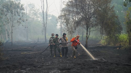 This year's El Nino-driven heat could cause nearly half a million more deaths, group says