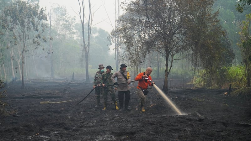 This year's El Nino-driven heat could cause nearly half a million more deaths, group says
