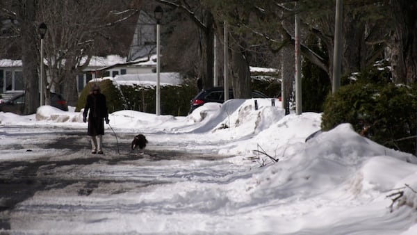 ‘The fight is not over’: Manor Park sidewalk debate back as city project resurfaces