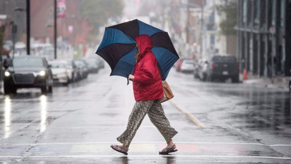 Halifax Braces for Up to 60 mm of Rain as Slow-Moving Storm Threatens Flooding — image 1