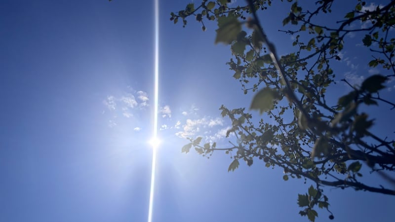 Heat warning continues in Windsor-Essex but cooldown coming