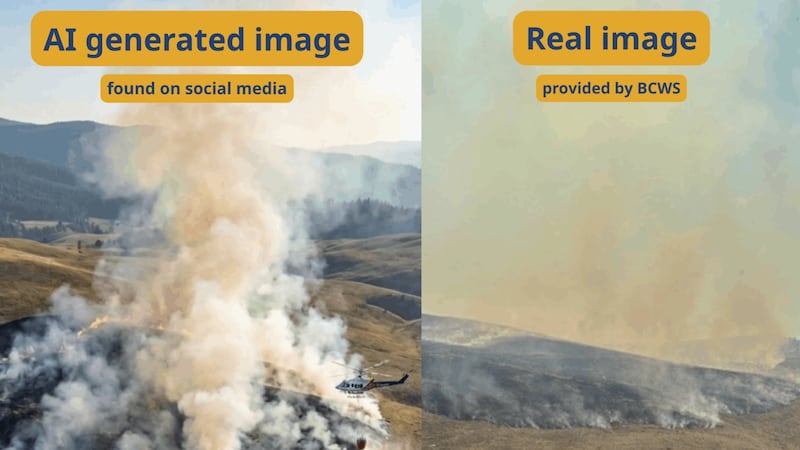 Be wary of AI-generated wildfire images, B.C. officials warn