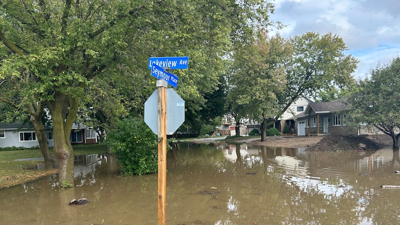Mayor calls for Essex Flooding Taskforce