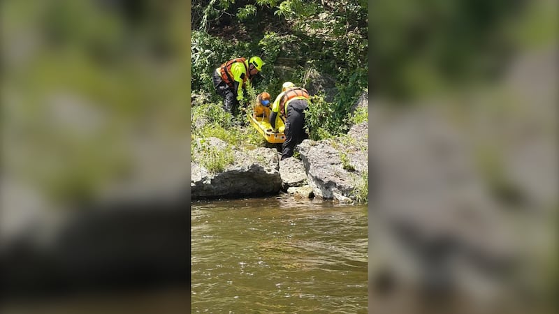 Dog rescued after 15-metre fall into Elora Gorge, receives emergency veterinary care