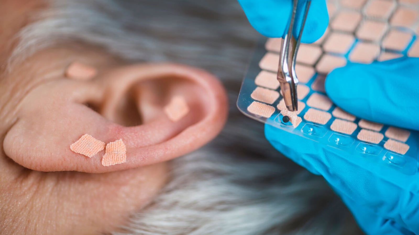 How does ‘ear seeding’ work?
