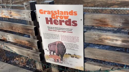 The Edmonton Valley Zoo announced a plan for the next 15 years. Nov. 24, 2025. (Sasha Pietramala/CTV News Edmonton)