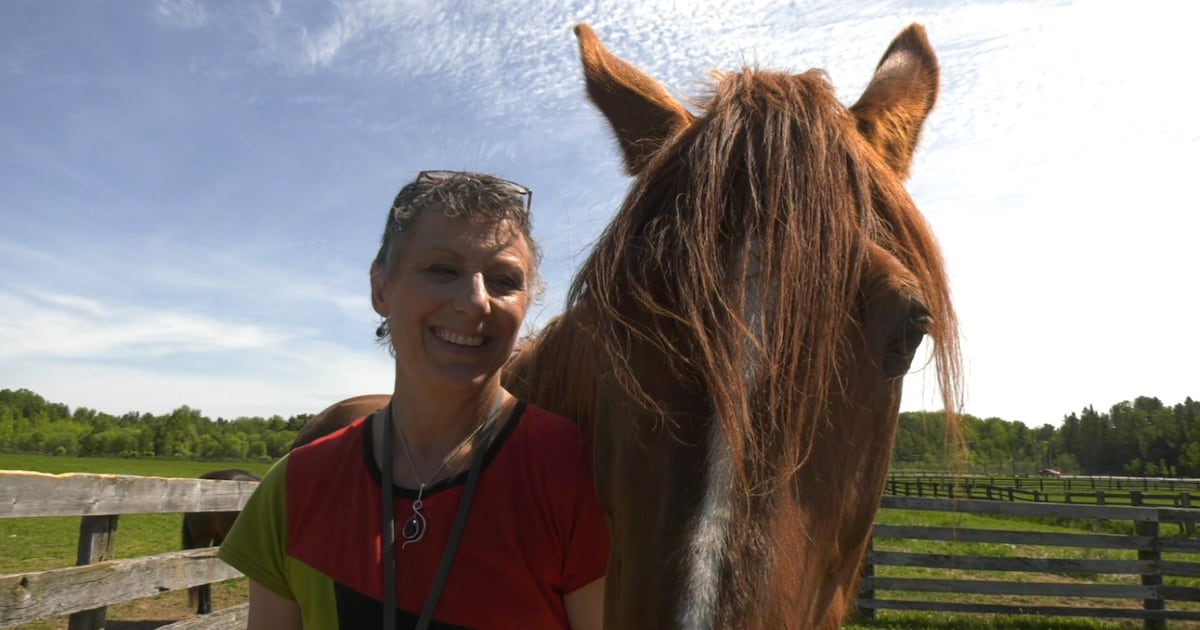 Ontario horse trainer swaps pressure for consent in documentary project