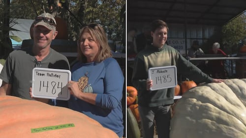 Oh my gourd: B.C. Giant Pumpkin Weigh Off comes down to 1-pound difference