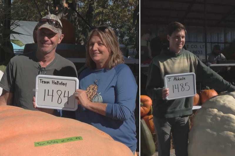 Oh my gourd: B.C. Giant Pumpkin Weigh Off comes down to 1-pound difference