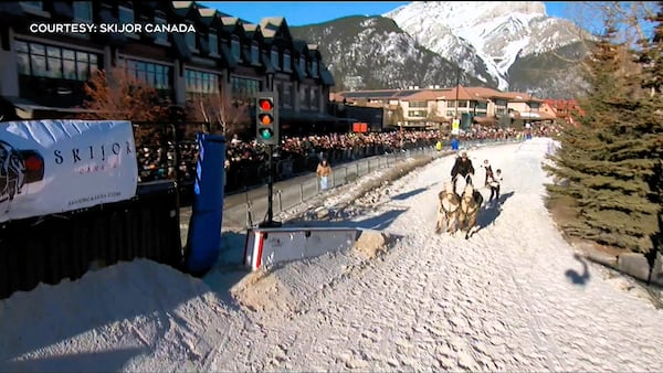 Skijor Canada says warm weather won’t hamper upcoming Calgary event