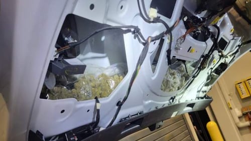 U.S. border dog detects marijuana inside vehicle of 2 Canadian citizens