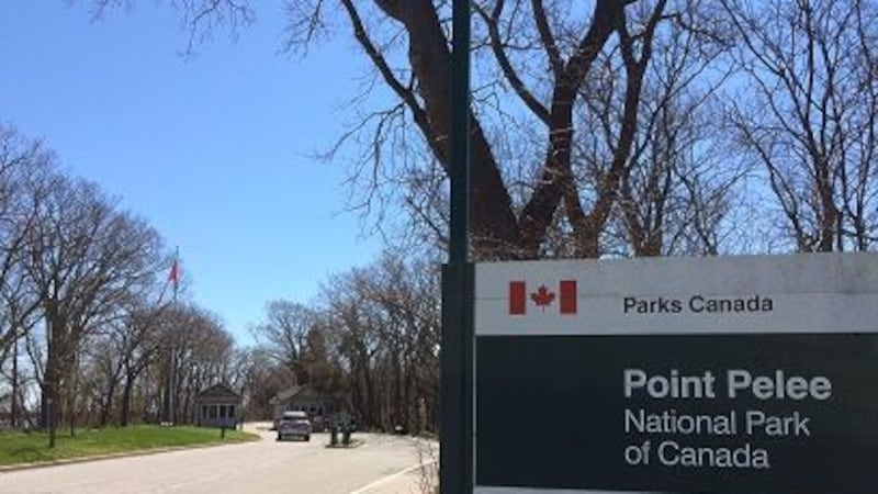 Suspected waterfowl poaching reported at Point Pelee National Park