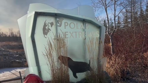 The Edmonton Valley Zoo announced a plan for the next 15 years. Nov. 24, 2025. (Sasha Pietramala/CTV News Edmonton)