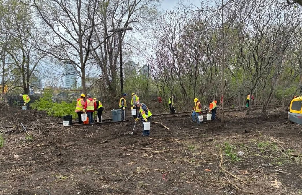2,000 needles picked up at former encampment near Ottawa O-Train stations: