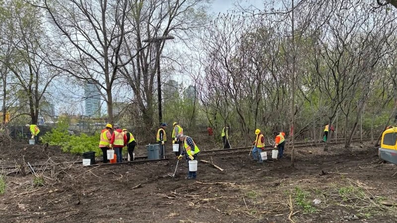 2,000 needles picked up at former encampment near Ottawa O-Train stations: councillor