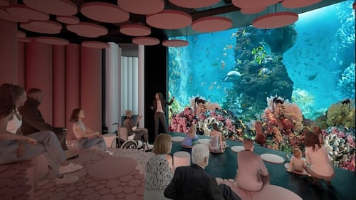 Aquarium project at Royalmount complex ‘on hold’