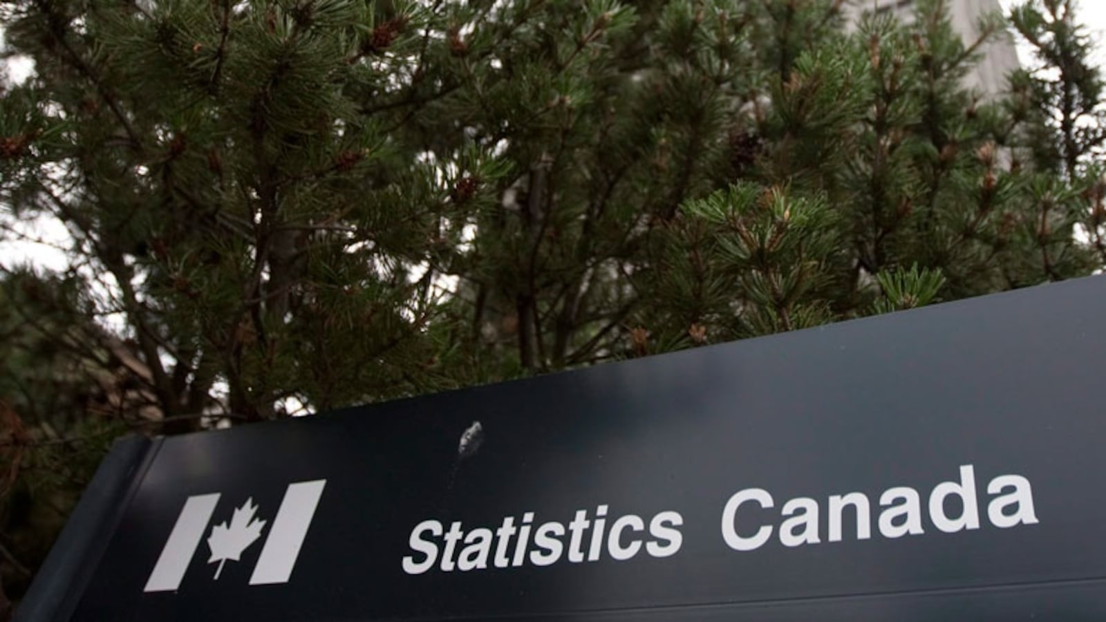 Stats Sask Sask. unemployment second-lowest in country: Stats Canada