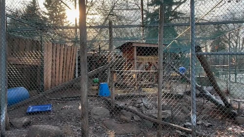 The Edmonton Valley Zoo announced a plan for the next 15 years. Nov. 24, 2025. (Sasha Pietramala/CTV News Edmonton)