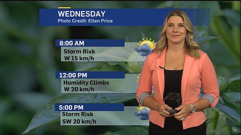 ‘Intensely humid’ Wednesday with the chance for thunderstorms
