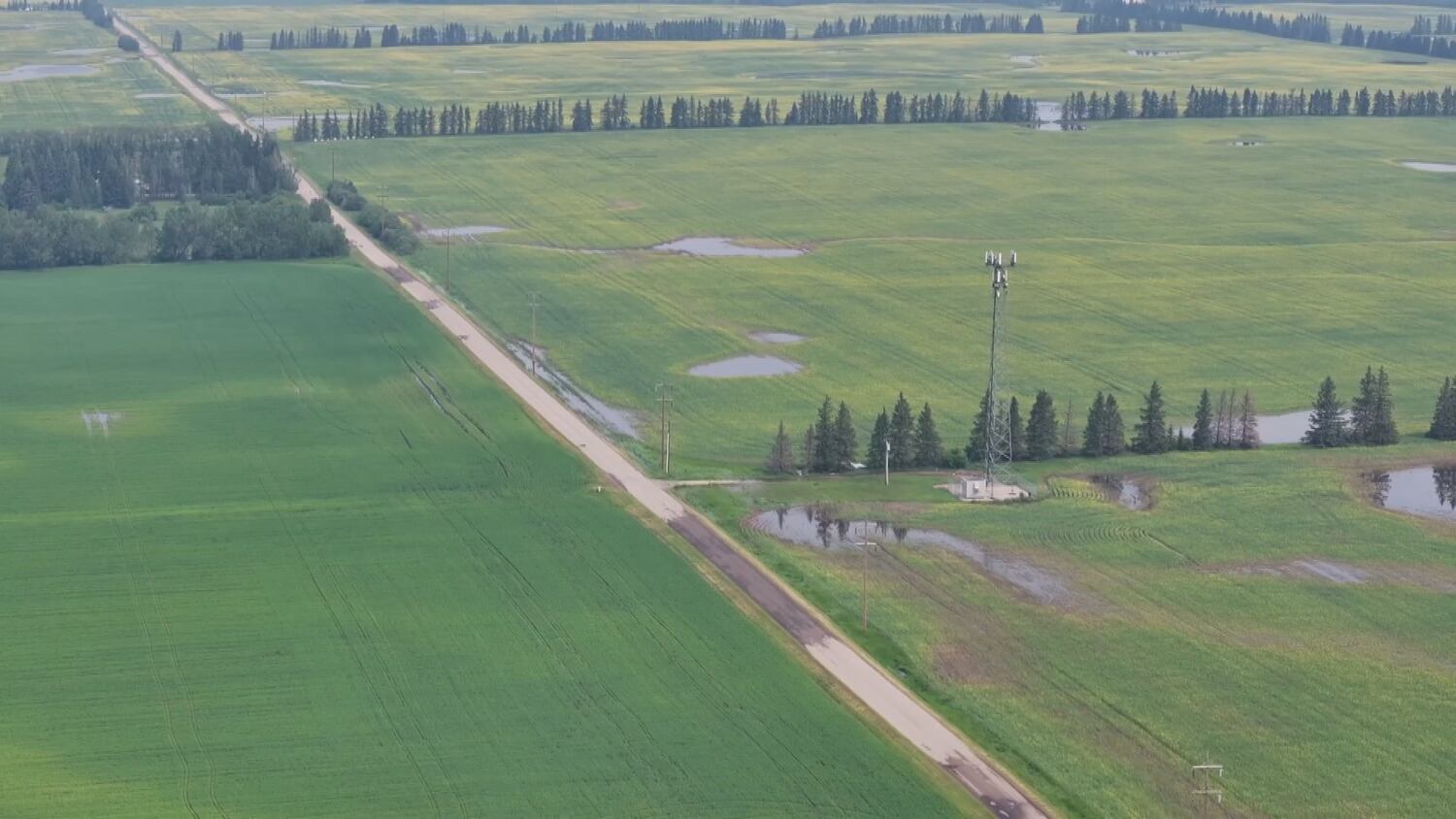 Heavy rain washes out road in Strathcona County – CTVNews