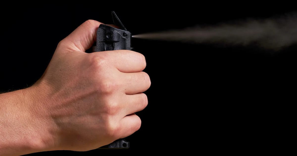 North Bay argument escalated and ended with bear spray, police say
