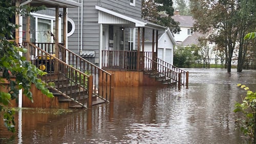 The yards outside people's homes are flooded.