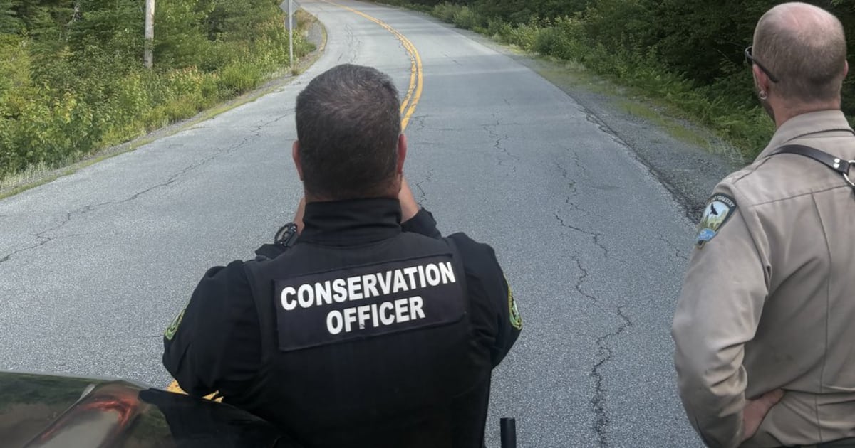 Canada Wildfires: A look at where they are burning from coast to coast