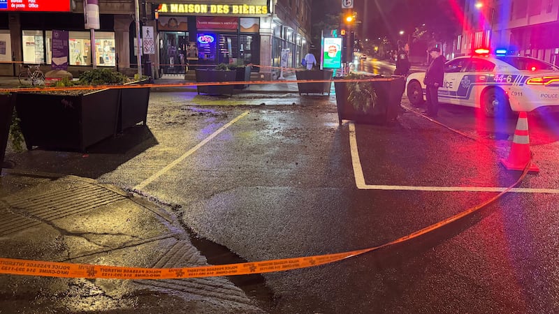 Intoxicated man steals Montreal police car, is chased through South Shore