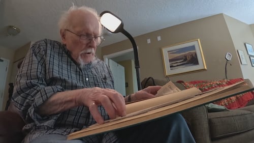 97-year-old publishes novel about farmer building giant wings to teach injured swan to fly
