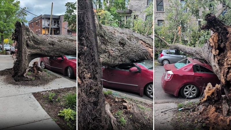 Severe thunderstorm causes damage, sends multiple people to hospital in Montreal