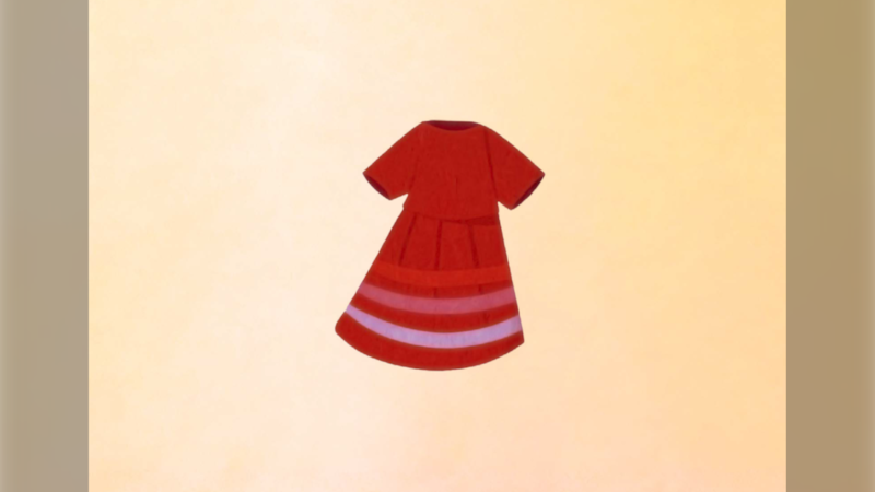 red dress publishing 30 Red Dresses (Signed copy) Author Johan Twiss