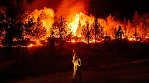 World must prepare for ‘reality’ of missing 1.5C goal: UN